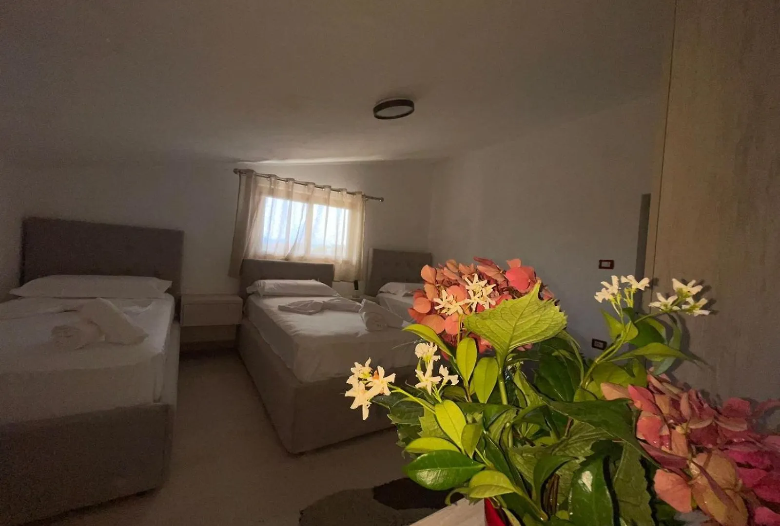 Prela'S Rooms Shkoder Albania